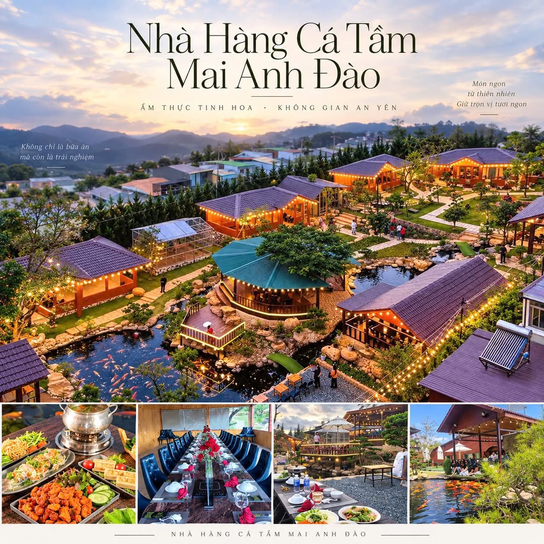 Ảnh giới thiệu sân vườn, hồ koi và bàn ăn của Mai Anh Đào